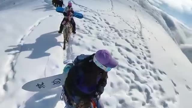 The weather is perfect for skiing