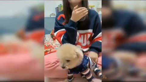 CUTE PETS 2021, FUNNY PLAYING WITH CHILDREN