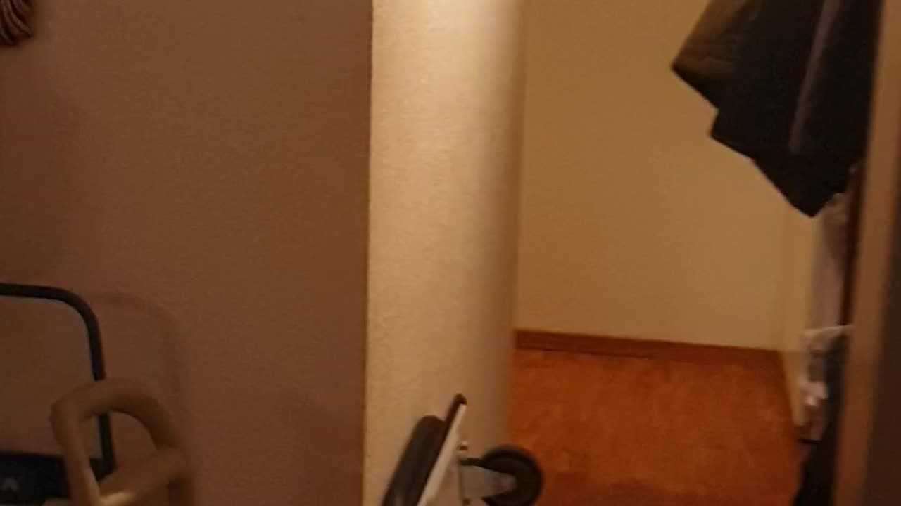 Champ-Fleuri 11 décembre 2023