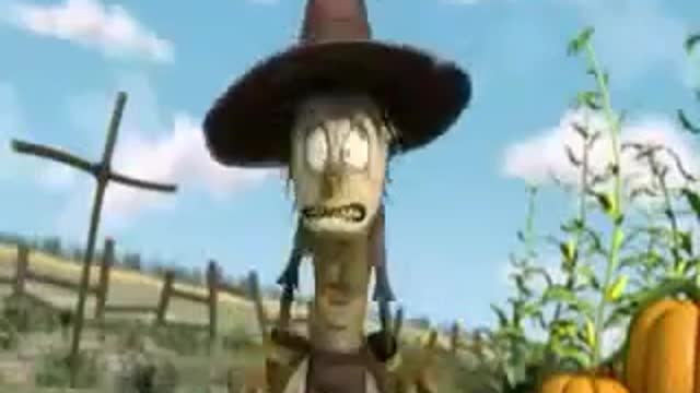 funny bird video