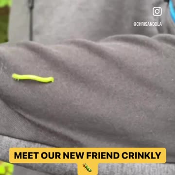 OUR NEW FRIEND CRINKLY