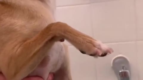 Cut the nails