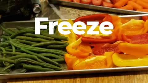 Freeze Drying