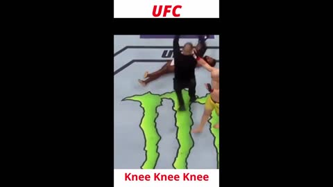 Knee Knee Knee knockout Ufc MMA kickboxing muay Thai