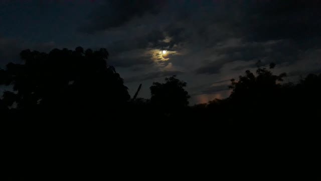 Vídeo 3
