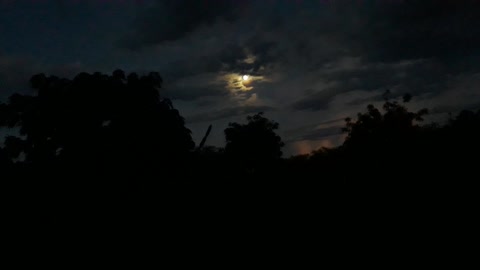 Vídeo 3
