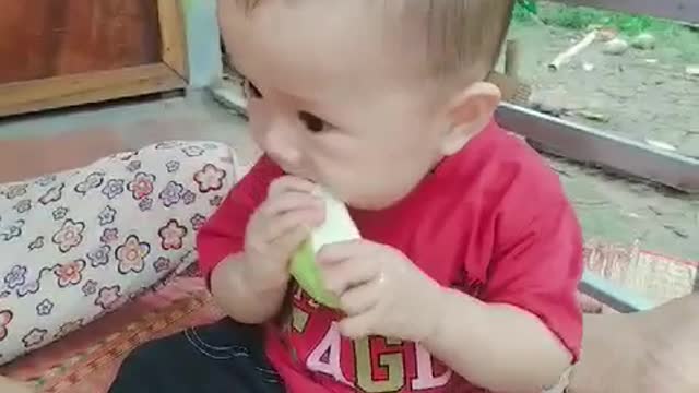 funny boys