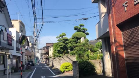 Japan Walking down the street in Tokyo
