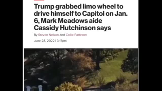 I know some sheep that believe this about trump