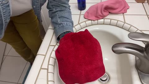 Cleaning the Bathroom sink without bleach and toxins