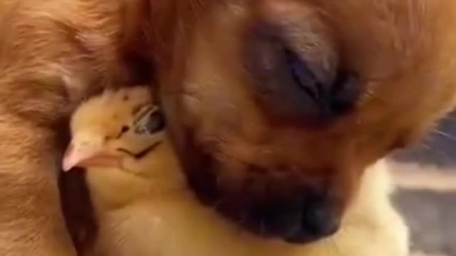 IT IS SLEEPING TIME 😍