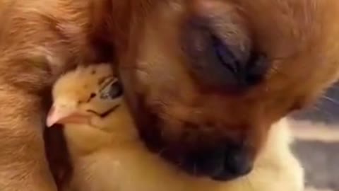 IT IS SLEEPING TIME 😍