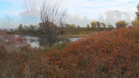 Journée d'automne