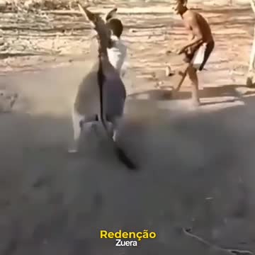 FELIZ DIA DAS CRIANÇAS RSRS CAINDO