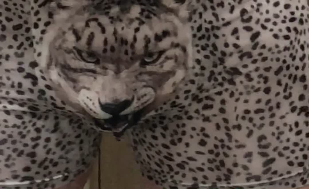 White Leopard with a nice look on his face.