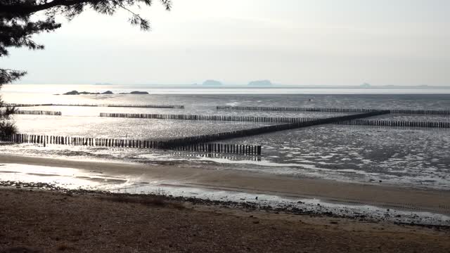 he Korean sea is quiet because of the low tide.