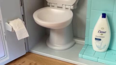 Bathroom cleaning