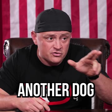 Top 3 Things Professional Dog Trainers Love To See