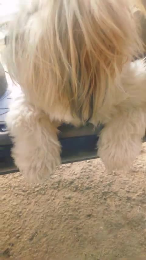 "Gluco Shield Pro: Natural Support for Healthy Blood Sugar Levels" BUY NOW AND SAVE