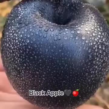 Black Apple