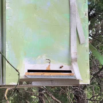 Clear Creek Swarm first swarm trap "bee house" to catch.
