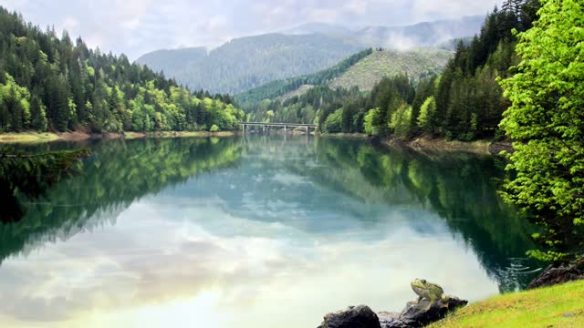 Lake - 99231
