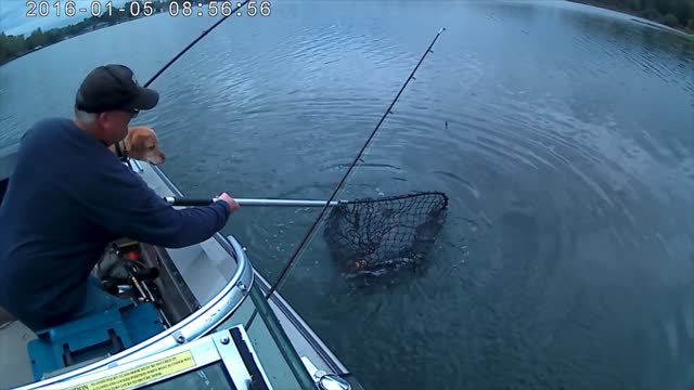 2 pike catch while musky fishing