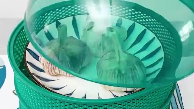 Kitchen utensils