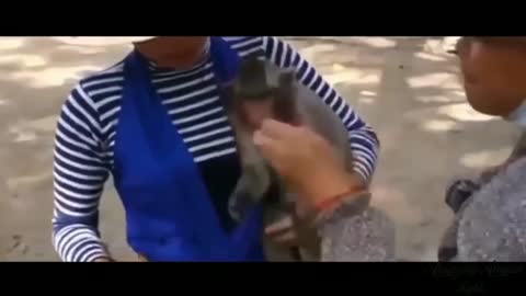 People love with animal.