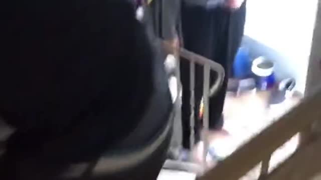 Cat run away for 2 months funny