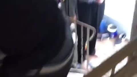 Cat run away for 2 months funny