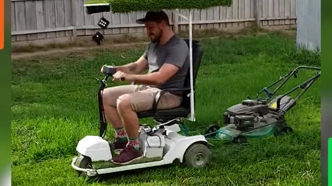 Grass, Mowers And Mayhem