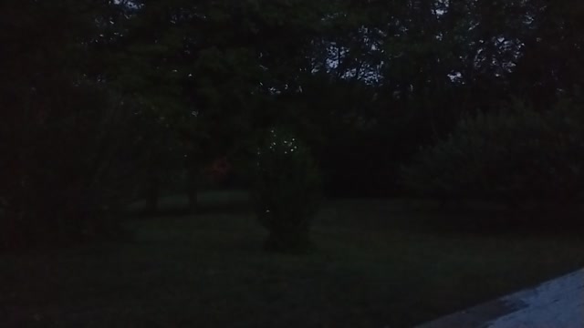 July 27 Forget-Forgive