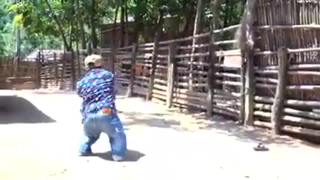 Ave ataca a persona pequeña