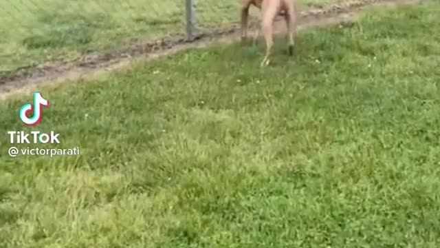 Un video de
