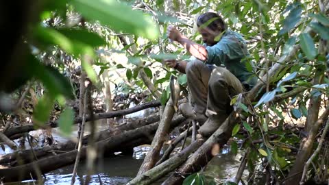 Abrindo uma trilha no meio da floresta selvagem para pescar