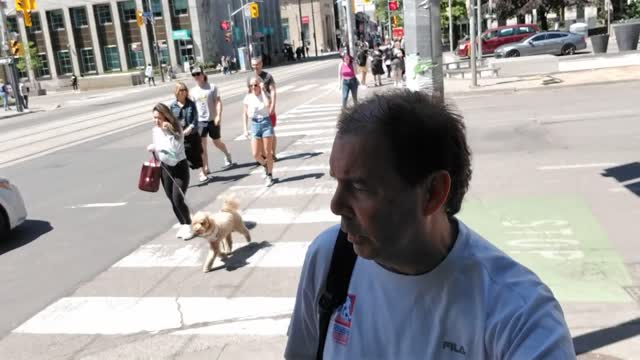 AVENUE ROAD - UNIVERSITY AVENUE VIDEO 10 OF 10 (June 4, 2022)
