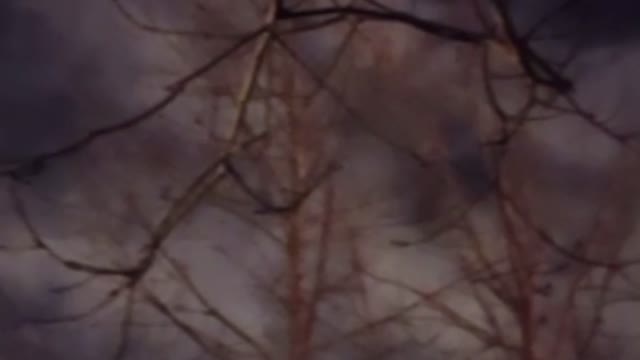 Another view of the Sky Event