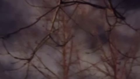 Another view of the Sky Event