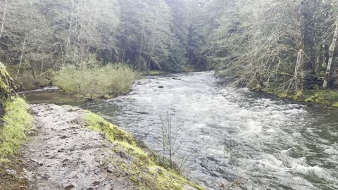 EPIC Shoreline Trail Alongside Wild & Scenic Salmon River – Mount Hood – 4K