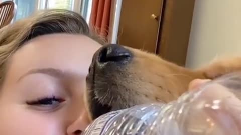 Funny and Cute compilation | Cute compilation. #shorts