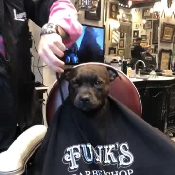 Finishing up the day with my favorite VIP client