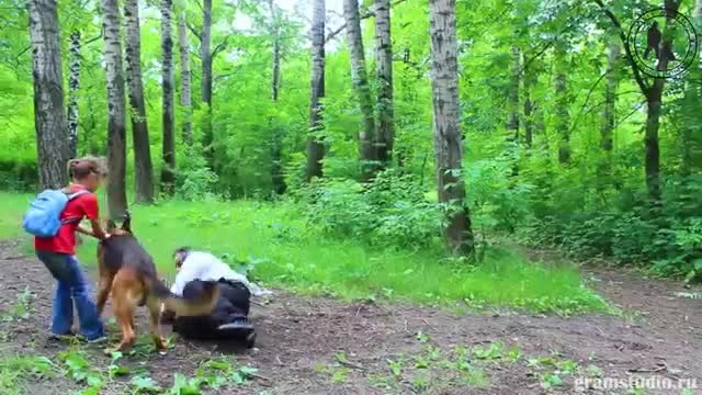 There is a dog trying save a litle girl from old people