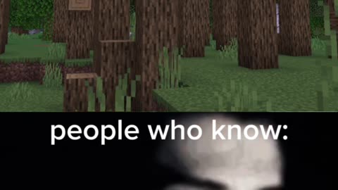 Childhood fear 😨 minecraft