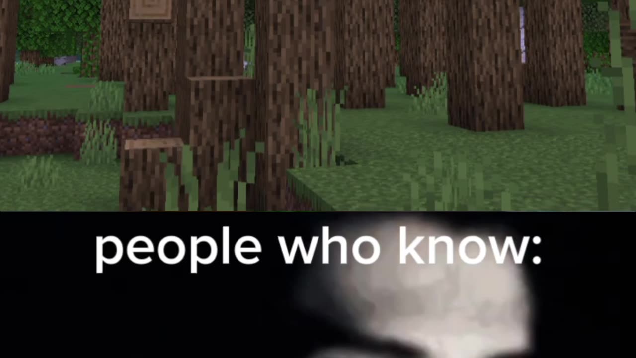 Childhood fear 😨 minecraft