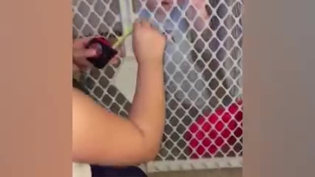 Baby funny video woooow...