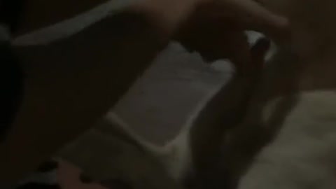 dog cries missing his girlfriend