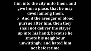 Joshua 20 King James version