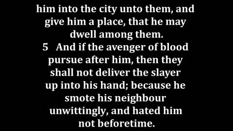 Joshua 20 King James version
