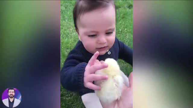 Funny and Cute Baby Funny Baby Reaction When Play with Chicken | Funny Videos